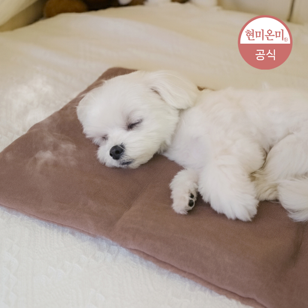 현미온미 강아지 고양이 천연 곡물 찜질팩 반려동물 냉 보 온 핫팩 슬개골탈구 관절염 디스크 - 상품 이미지