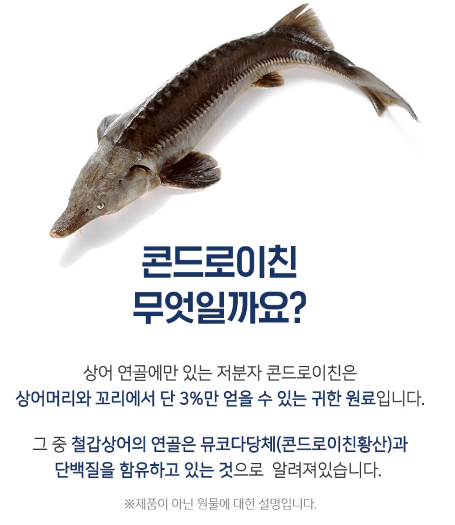 철갑 상어 콘드로이친 1200mg 상어 연골 무릎 관절에 좋은 영양제 - 상세 이미지 3