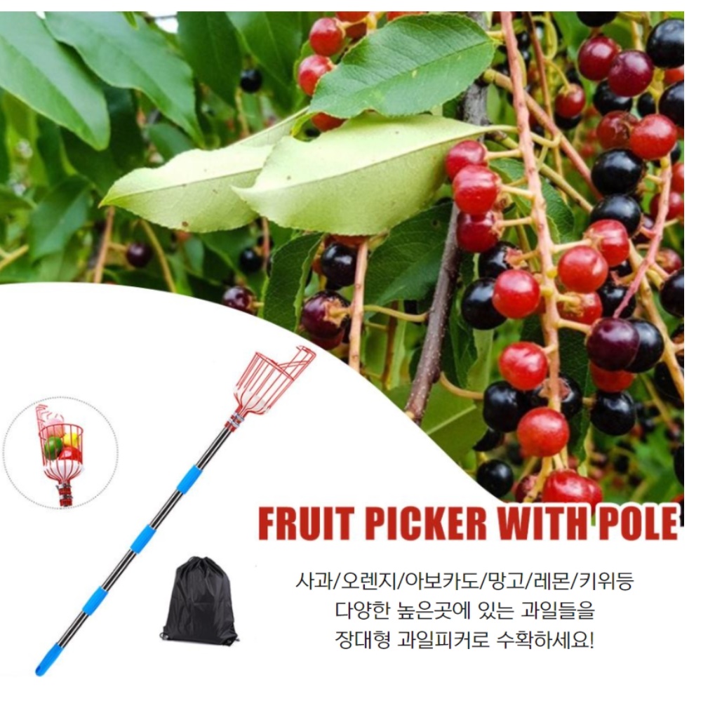 과수원 감 따는 도구 과일 따는 기구 열매 따는 가위 - 상세 이미지 4