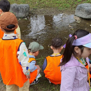 [깨비의숲마을][파주운정호수공원] 경기 파주 운정 숲체험 어린이 봄 유아... 솔직 후기 | 실사용자 리뷰 분석 - 상품 이미지 3