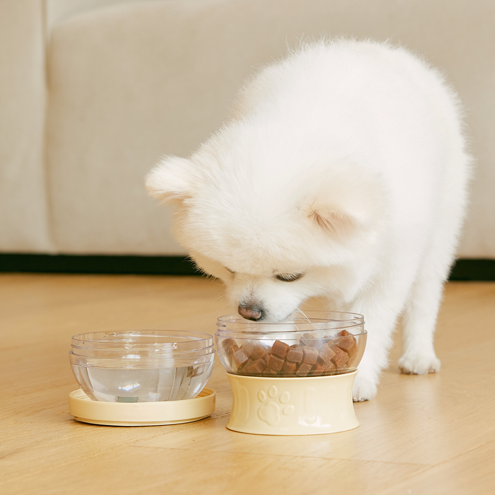 냅다다 강아지 고양이 간식통 사료통 사료보관통 휴대용 맘마줘도시락 이미지 2