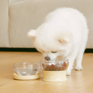 냅다다 강아지 고양이 간식통 사료통 사료보관통 휴대용 맘마줘도시락 솔직 후기 | 실제 사용자 리뷰 총정리 - 상품 이미지 2
