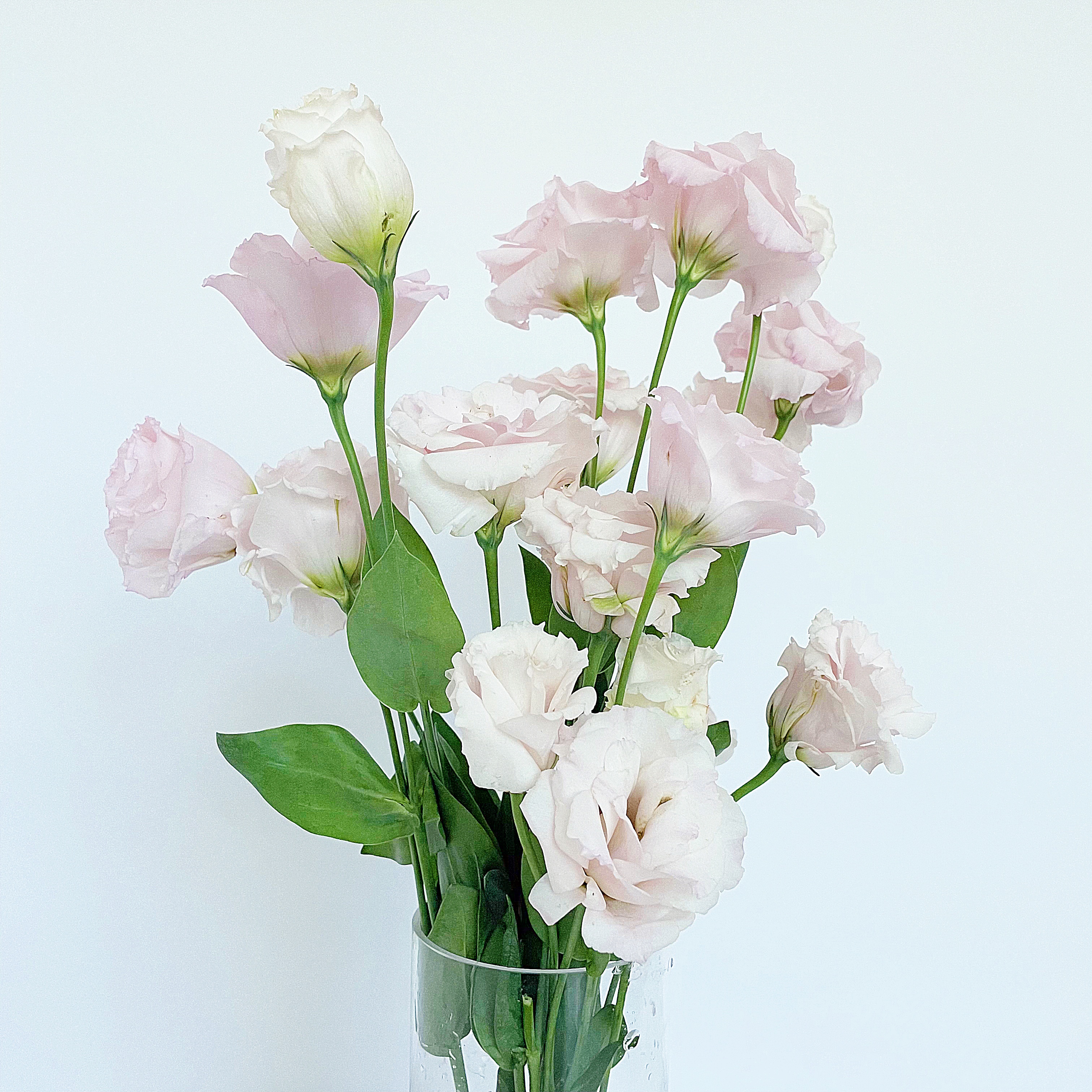 플로민스 리시안셔스 꽃다발 생화 택배 오래가는꽃 온라인꽃집 꽃배달 싼곳 절화 도매 이미지 4