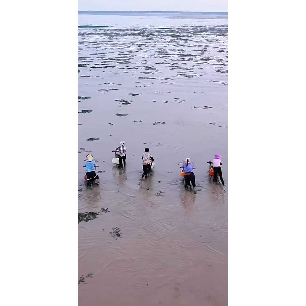 갯벌 썰매 스테인리스 손잡이형 바다체험 밀차 해루질 기본형 - 상세 이미지 4