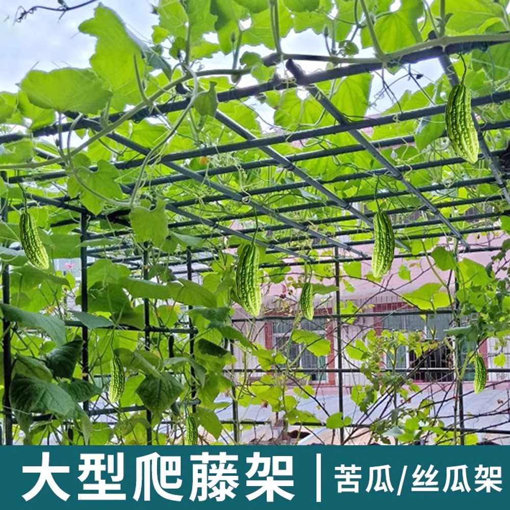 포도나무 지지대 대형 농사용 야채 식물 브래킷 1.2x1.2x1.2m - 상세 이미지 3
