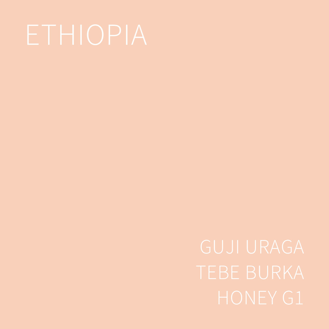 에티오피아 구지 우라가 테베 부르카 허니 G1 1KG (ETHIOPIA GUJI URAGA TEBE BURKA HONEY)
