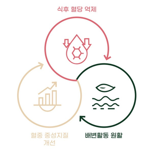 CMG제약 혈당 케어 액상 스틱 15g 30포 2박스 2개월 식후 혈당 상승 관리 중성지질 - 상세 이미지 4