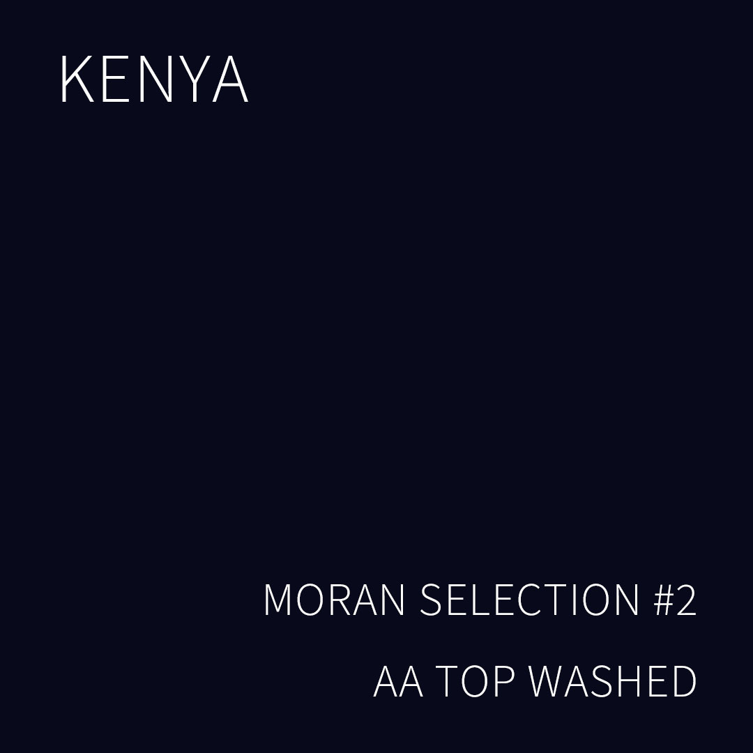 케냐 모란 셀렉션 #2 AA TOP 워시드 5KG (KENYA MORAN SELECTION #2 AA TOP WASHED)