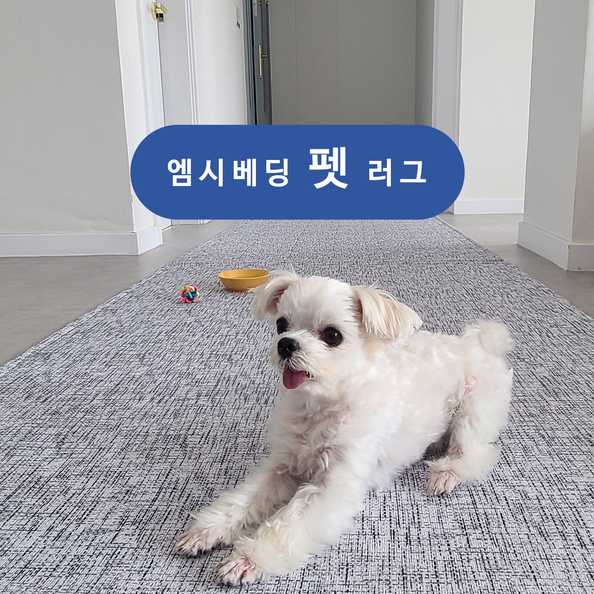 엠시베딩 워셔블러그 단모 먼지없는 사계절 방수 대형 거실 침실 아이방 원형 식탁 펫 러그 - 상품 이미지