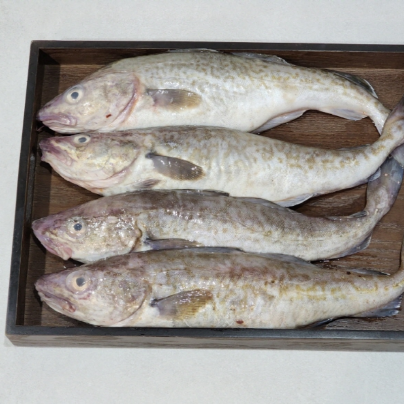 자연가득 통대구 지리탕 세트 손질 전 대구 1미 1kg급 / 손질 후 600-800g 지리탕소스 70g - 상세 이미지 4
