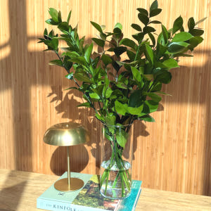 리틀캠든 루스커스 생화 합리적인 온라인꽃집 솔직 후기 | 실사용자 리뷰 분석 - 상품 이미지 4