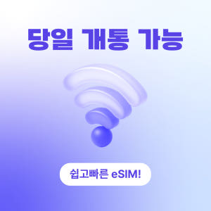 일본 이심 전지역 eSIM 이심세상 무제한 일본e심 알림톡 발송 솔직 후기 | 실사용자 리뷰 분석 - 상품 이미지 2