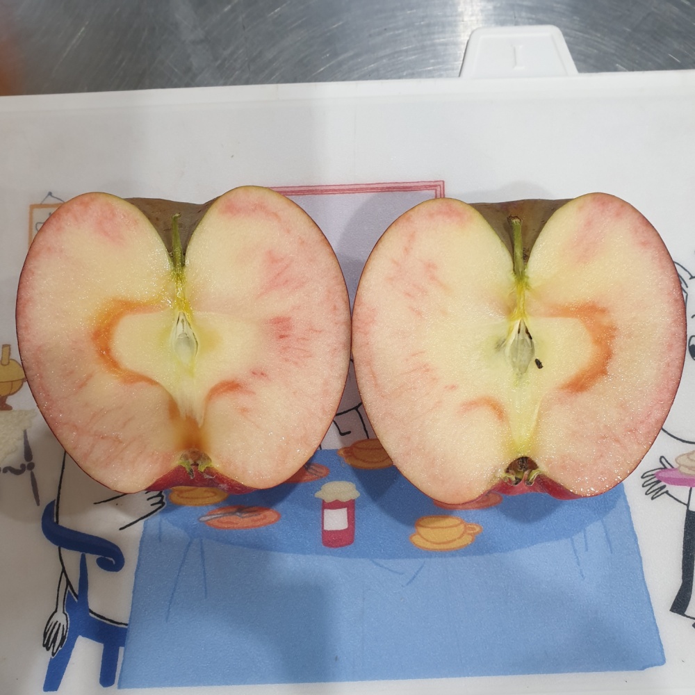 피치애플 사과신품종 속이빨간 엔부사과 한박스 유명한곳 엠부 피치 엔부 2kg, 1개 - 상세 이미지 2