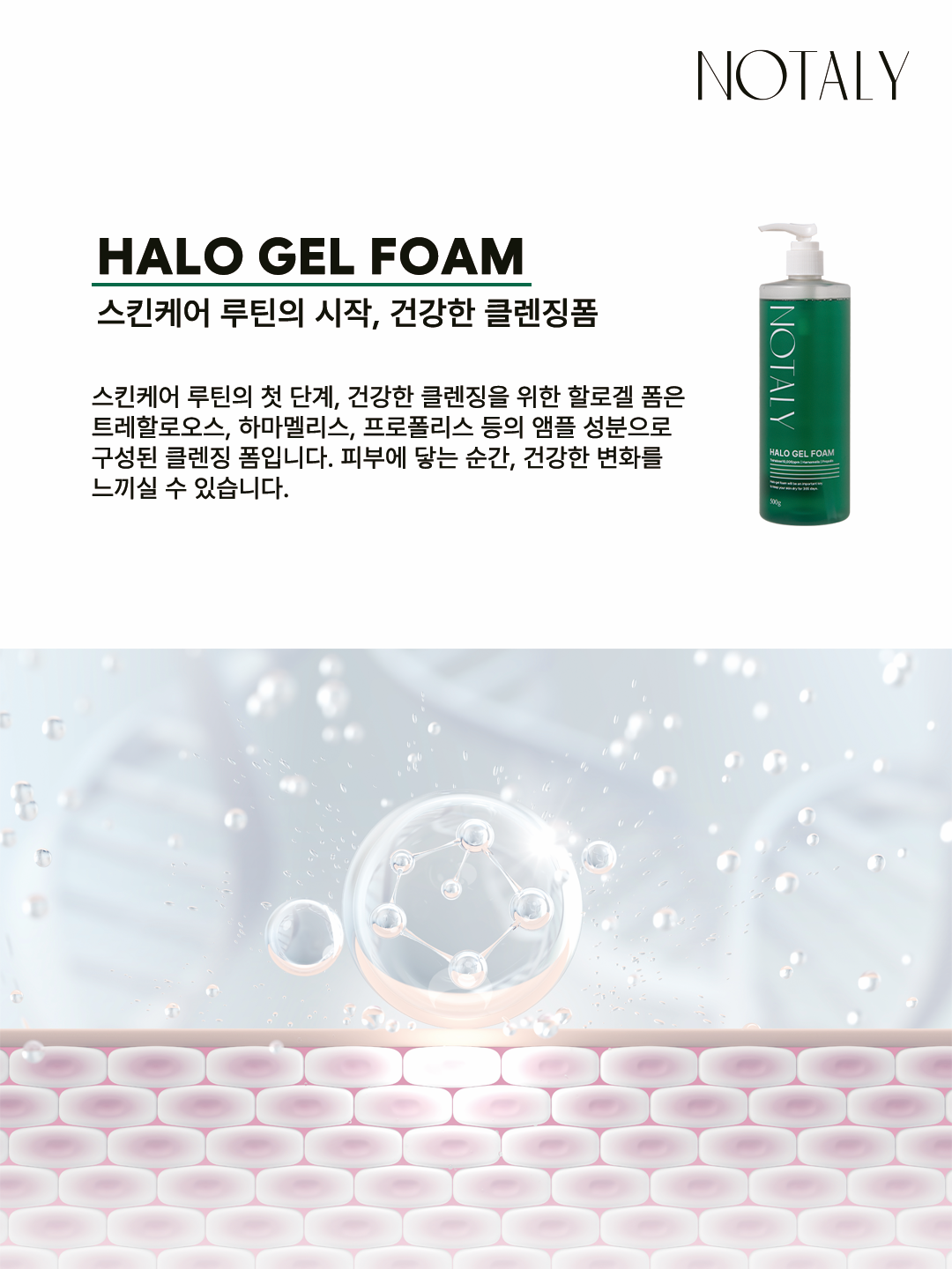 (노탈리) 할로겔 폼 클렌징 클렌저 500ml + 거품공병 약산성 세안제 - 상세 이미지 5