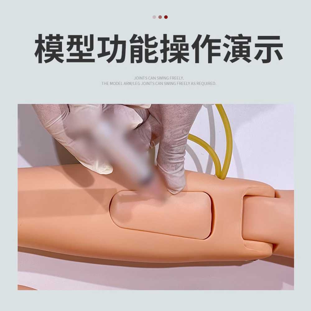 간호실습 인체 모형 올인원 도뇨기 모델 마네킹 도구 A A 기본 남성 간병인 - 상세 이미지 3