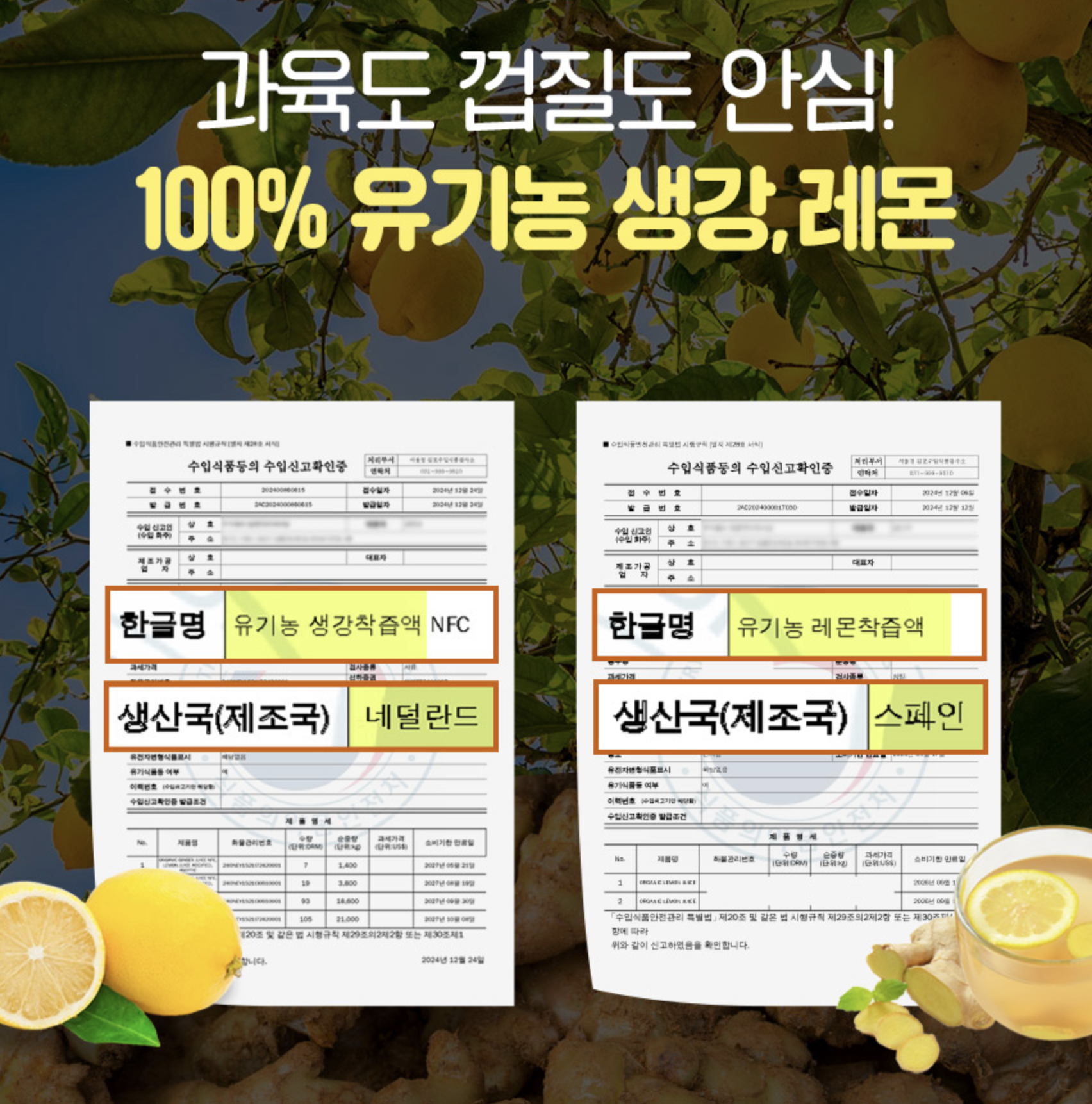 스페인 유기농 레몬즙 생강즙 스틱 생강 농축액 목건강 NFC 이미지 8