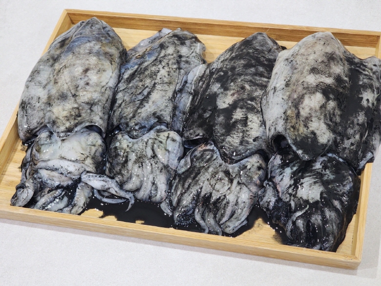 국내산 특대 생물 갑오징어 1kg (4~7미) 숙회용 횟감 빙장 포장 신선배송 - 상세 이미지 3