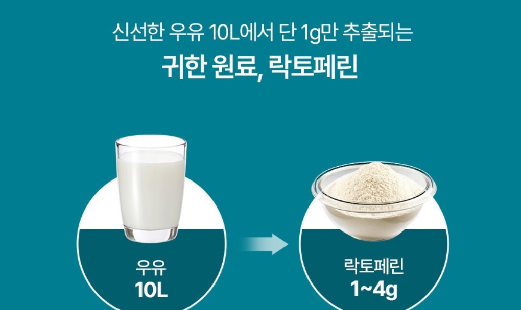 고순도 해썹 락토페린 600mg 60정 3병 이미지 6