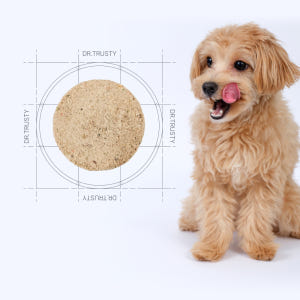 닥터트러스티 하이포알러제닉 로우팻 동결건조 알러지 처방사료 33장 150... 솔직 후기 | 실제 사용자 리뷰 총정리 - 상품 이미지 3