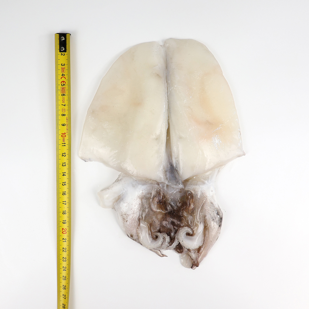 국산 손질 갑오징어 800g 서해안 냉동 구이 숙회 이미지 7