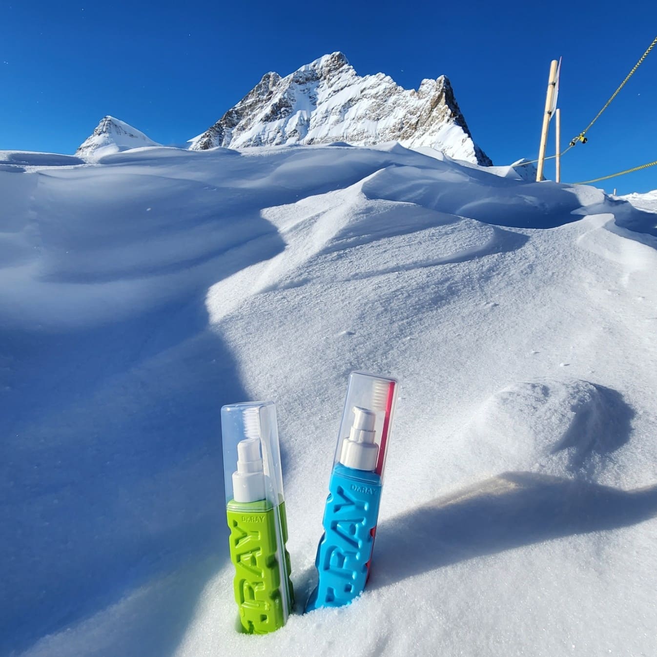 닥터레이 고고다이노 어린이칫솔 8개(4종x2세트) 유치원 어린이집 생일선물