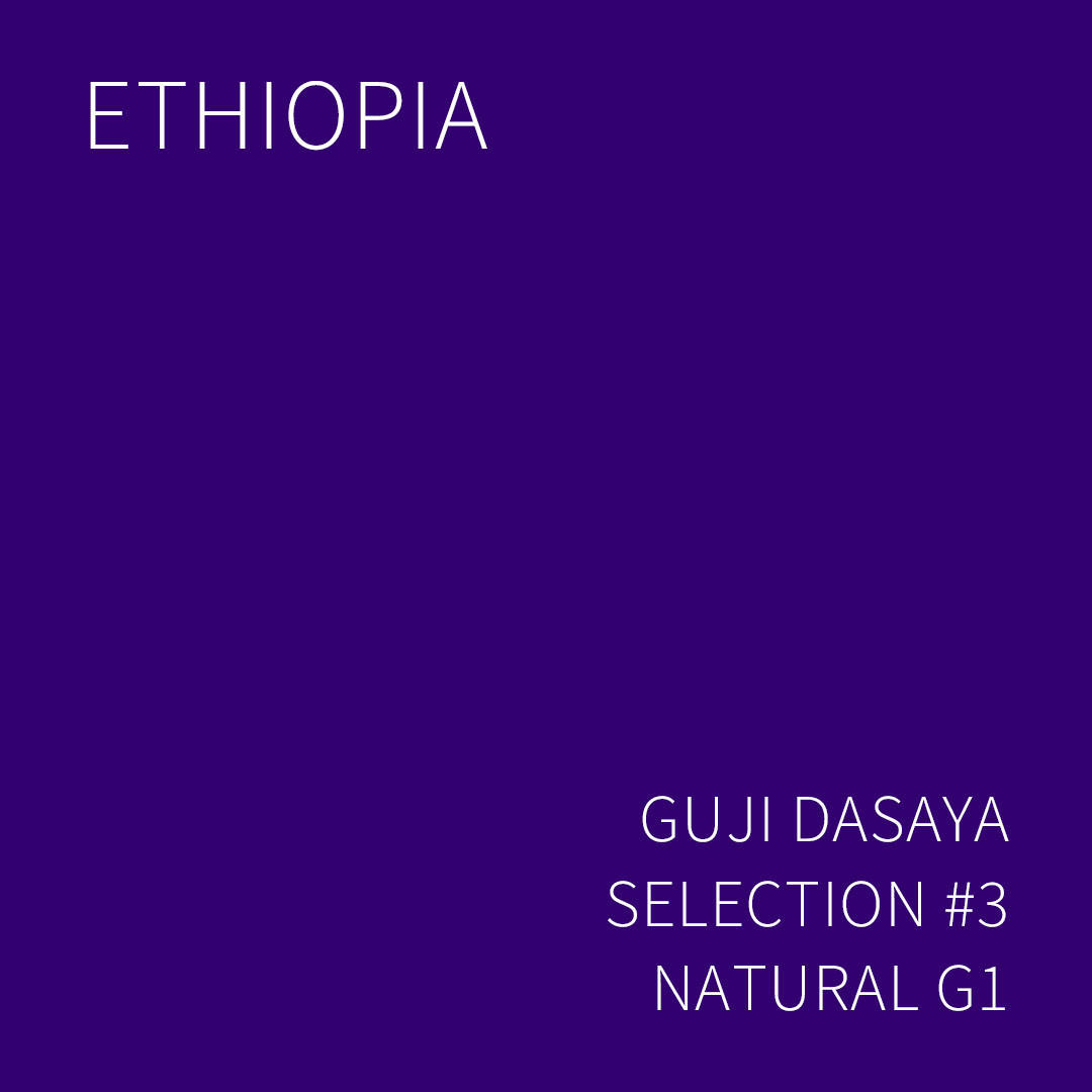 에티오피아 구지 다사야 셀렉션 #3 내추럴 G1 1KG (ETHIOPIA GUJI DASAYA SELECTION #3 NATURAL)