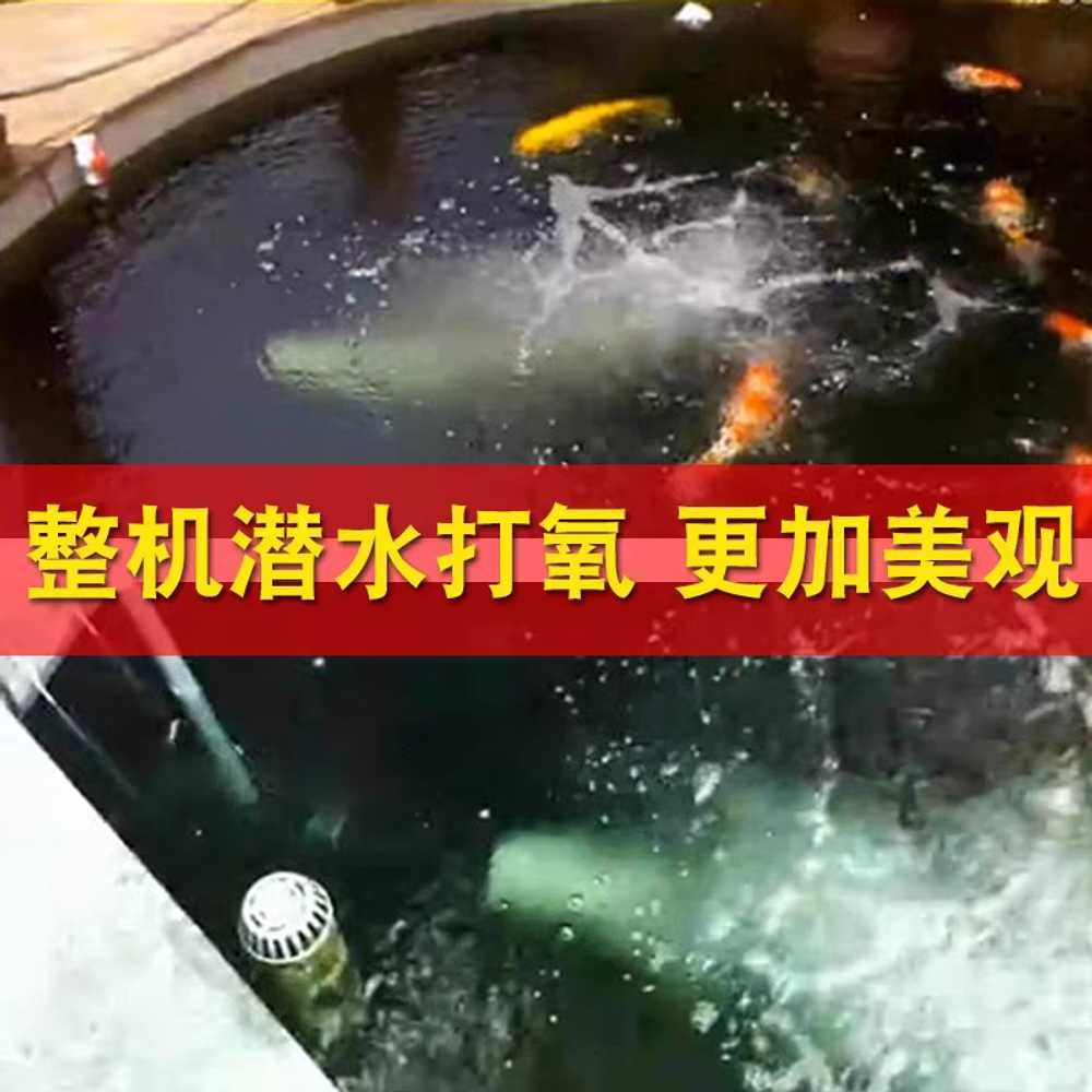 수중 수조 기포기 양식장 연못 서핑 워터 펌프 도구 125W - 상세 이미지 3