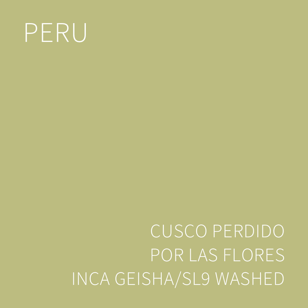페루 쿠스코 페르디도 포르 라스 플로레스 잉카 게이샤/SL9 워시드 5KG (PERDIDO POR LAS FLORES INCA GEISHA/SL9 WASHED)