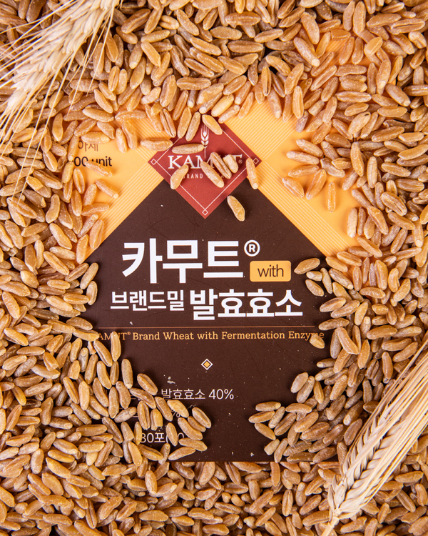 웰빙홀릭 카무트 효소 브랜드밀 곡물 분말 효소 효능 프리미엄 130만 - 상세 이미지 4