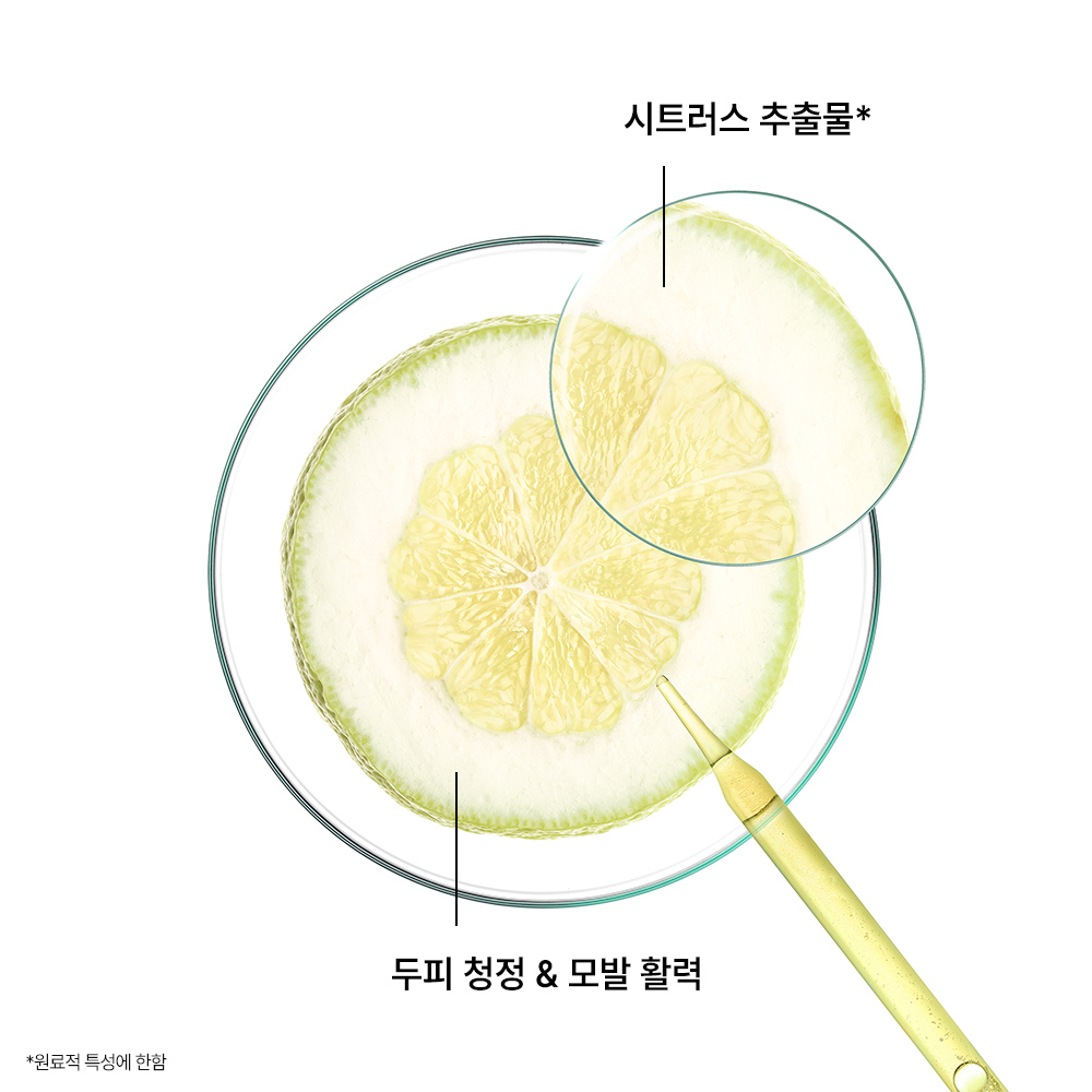 [클로란] 시트러스 스케일링 샴푸 400ml (지성두피&건조모발) - 상세 이미지 4