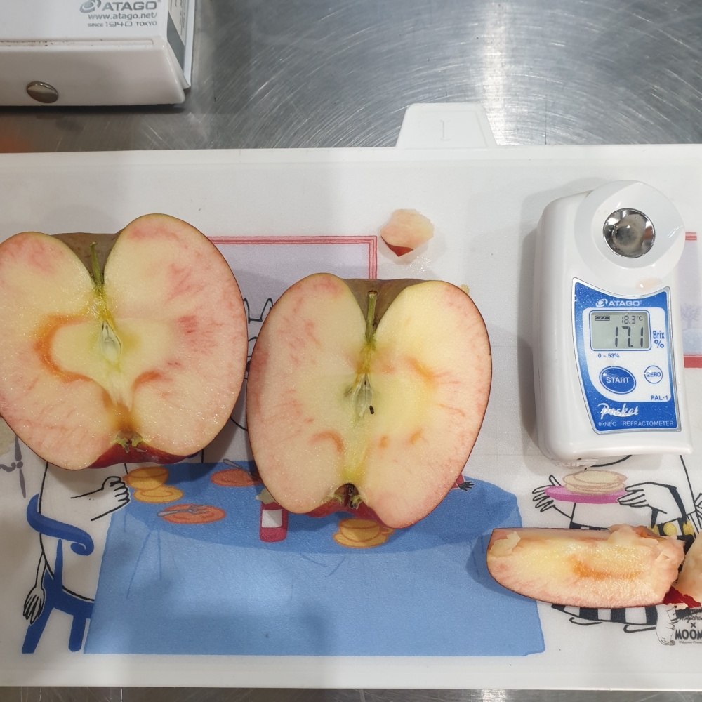 피치애플 사과신품종 속이빨간 엔부사과 한박스 유명한곳 엠부 피치 엔부 2kg, 1개 - 상세 이미지 3