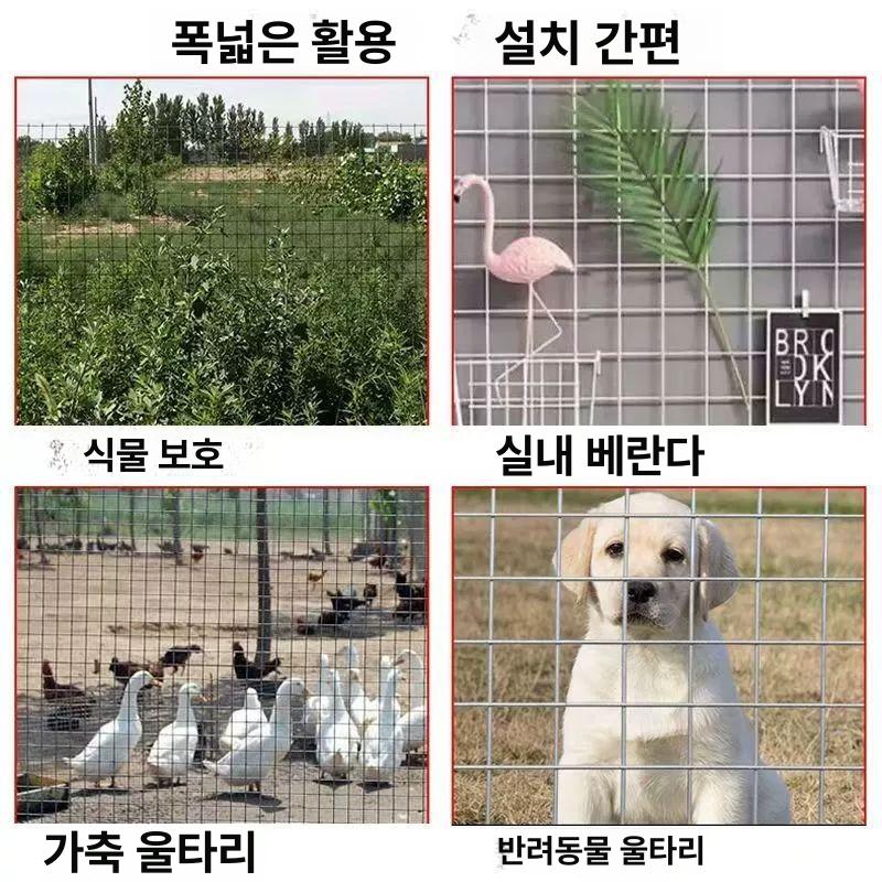 메쉬 휀스 아연 사육장 그물망 축사 담장 울타리 철망 1 미터 높이 1.5 센티미터 구멍 0.8 길이 1미터 - 상세 이미지 5