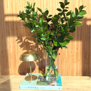 리틀캠든 루스커스 생화 합리적인 온라인꽃집 솔직 후기 | 실사용자 리뷰 분석 - 상품 이미지 2