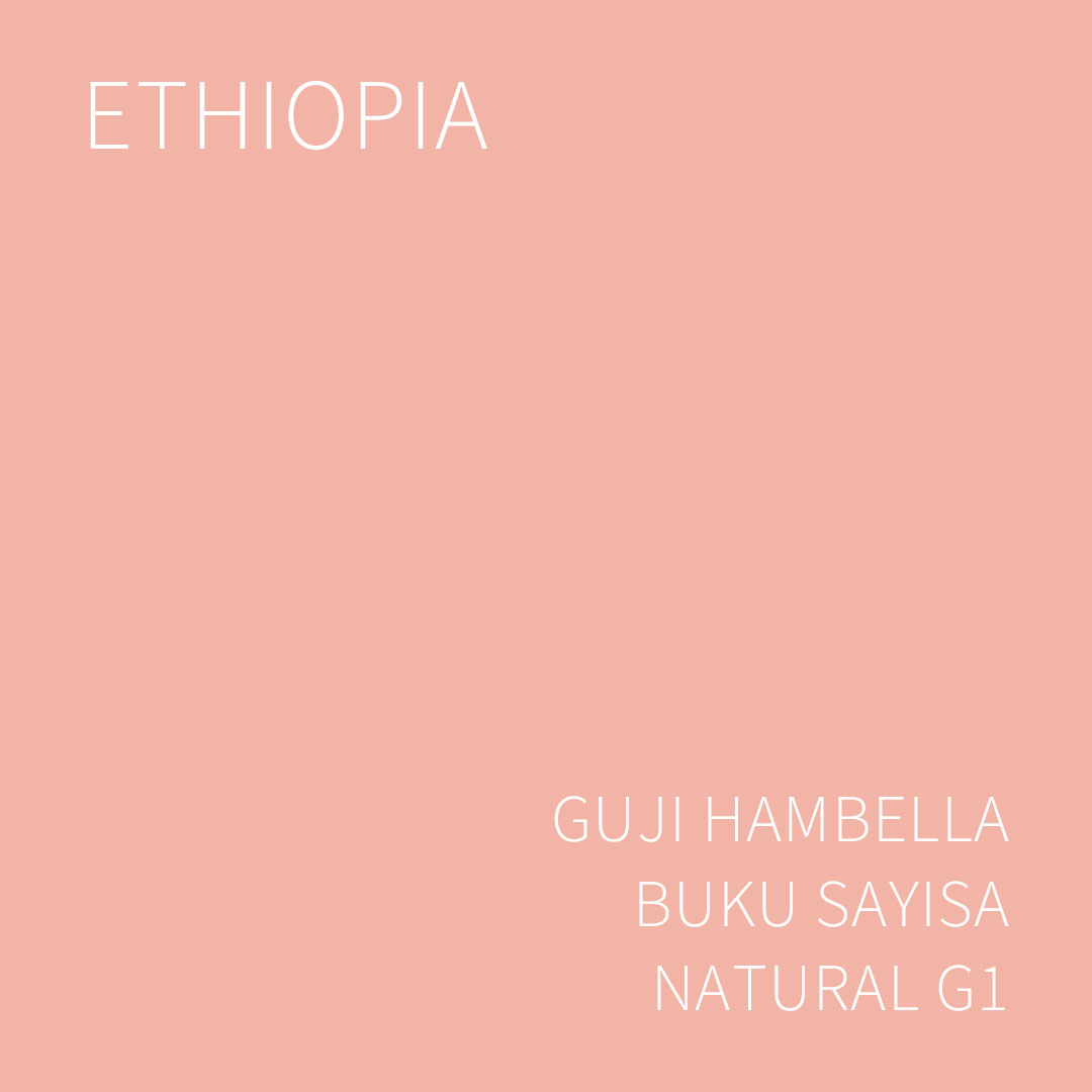 에티오피아 구지 함벨라 부쿠 사이사 내추럴 G1 5KG (ETHIOPIA GUJI HAMBELLA BUKU SAYISA NATURAL)