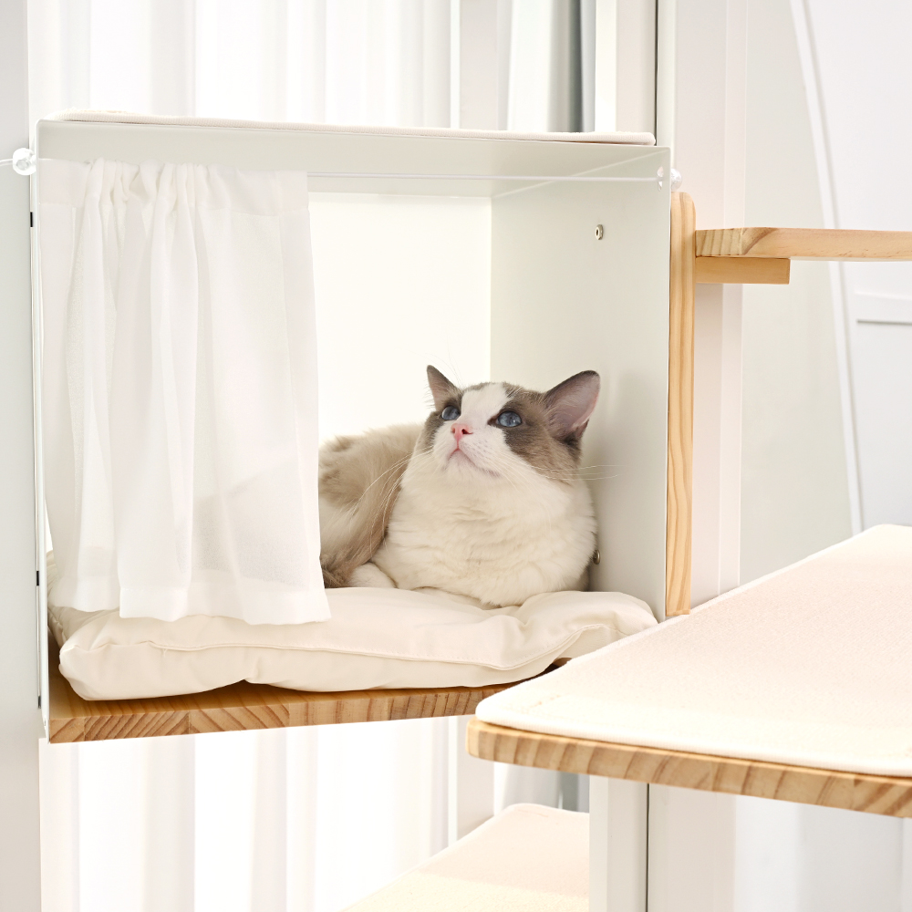 펫코본 고양이 캣타워 캣폴 원목 스틸 투명 해먹 탑라운지 기본형 - 상세 이미지 5