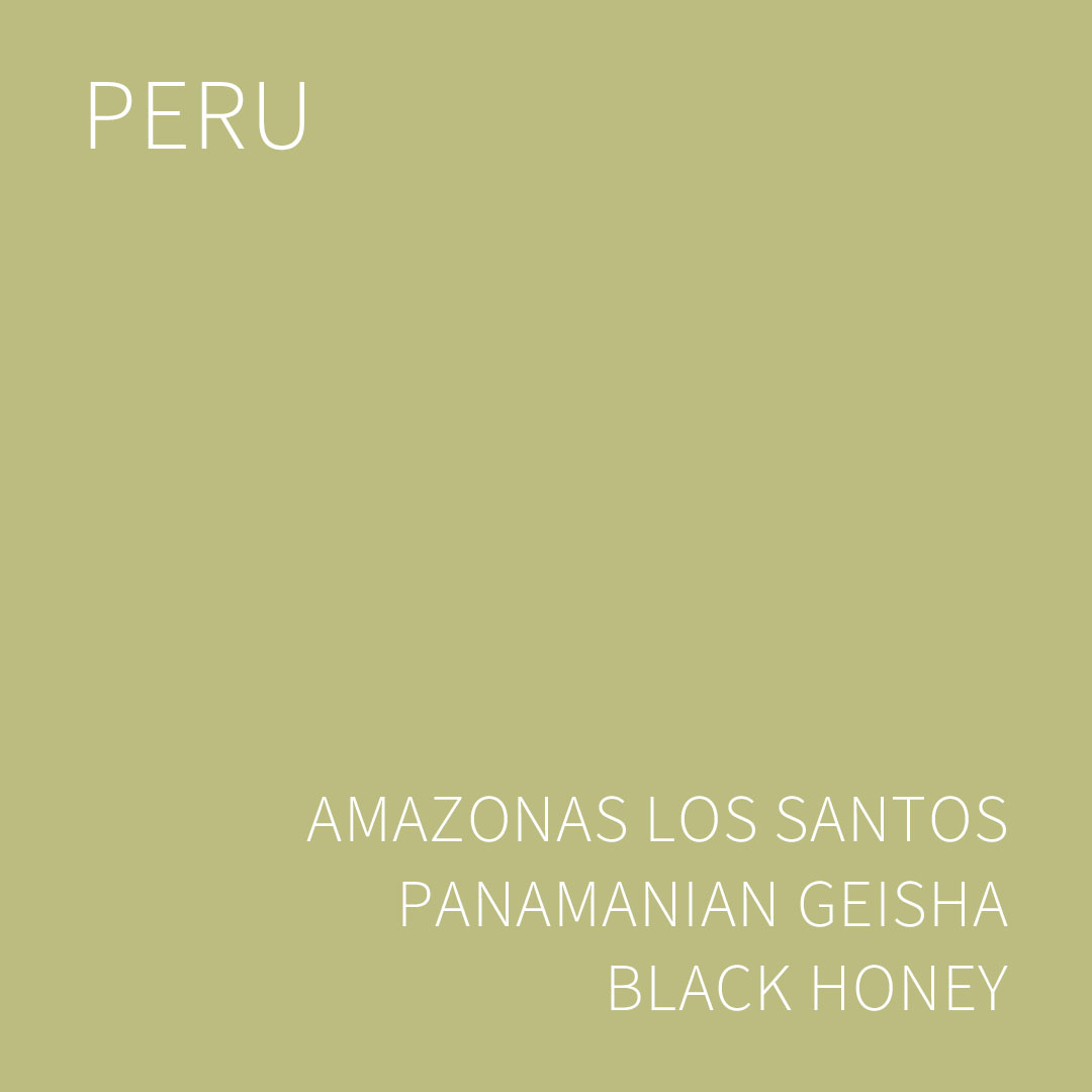 페루 아마조나스 로스 산토스 파나메니안 게이샤 블랙 허니 5KG (PERU LOS SANTOS PANAMANIAN GEISHA BLACK HONEY)