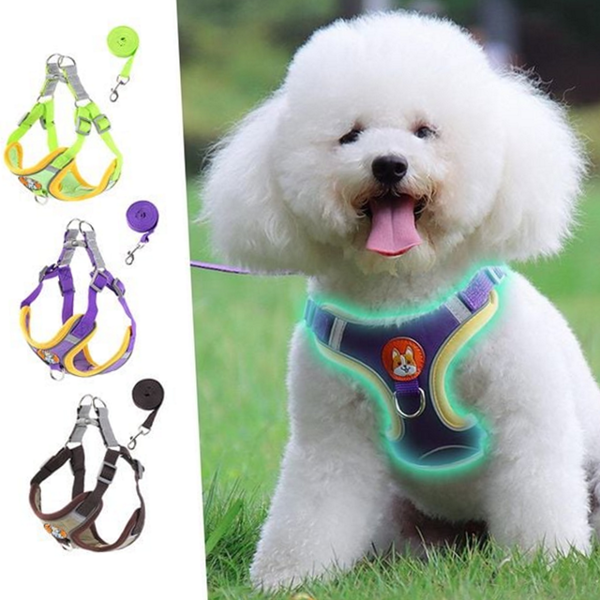편안한 강아지 하네스 가슴형 강아지 가슴 줄 소형견