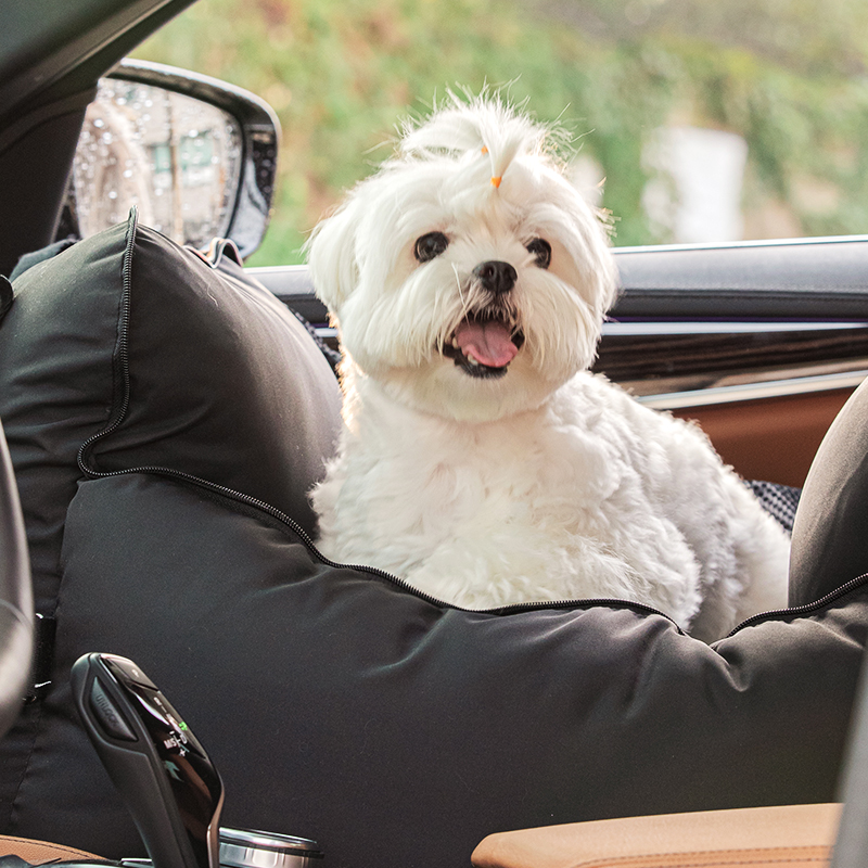 바잇미 타다백 카시트 강아지 펫시트 차량용 안전벨트 (2 color) M