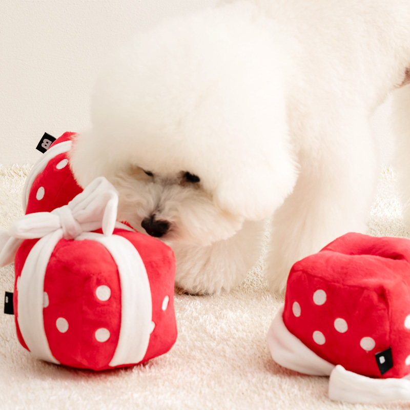 바잇미 선물상자 노즈워크 장난감