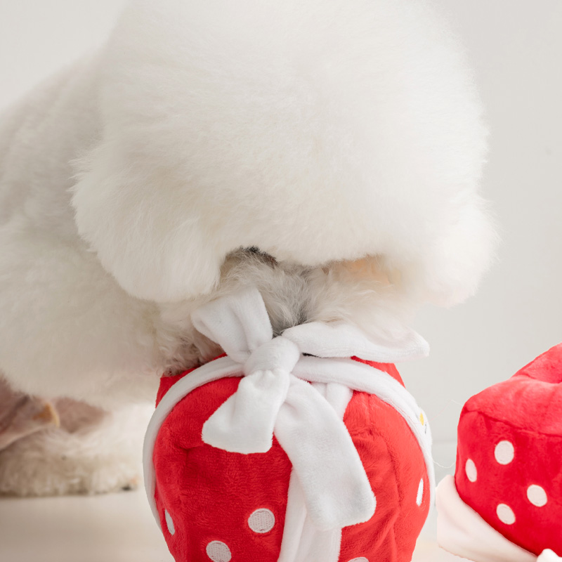 바잇미 선물상자 노즈워크 장난감