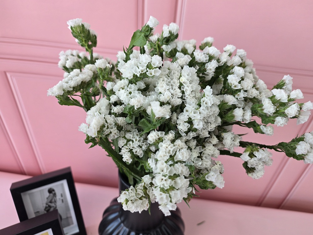 유스풀몰 생화 노랑계열스타티스 스타치스 꽃배달싼곳 꽃 훼농가돕기 이미지 3