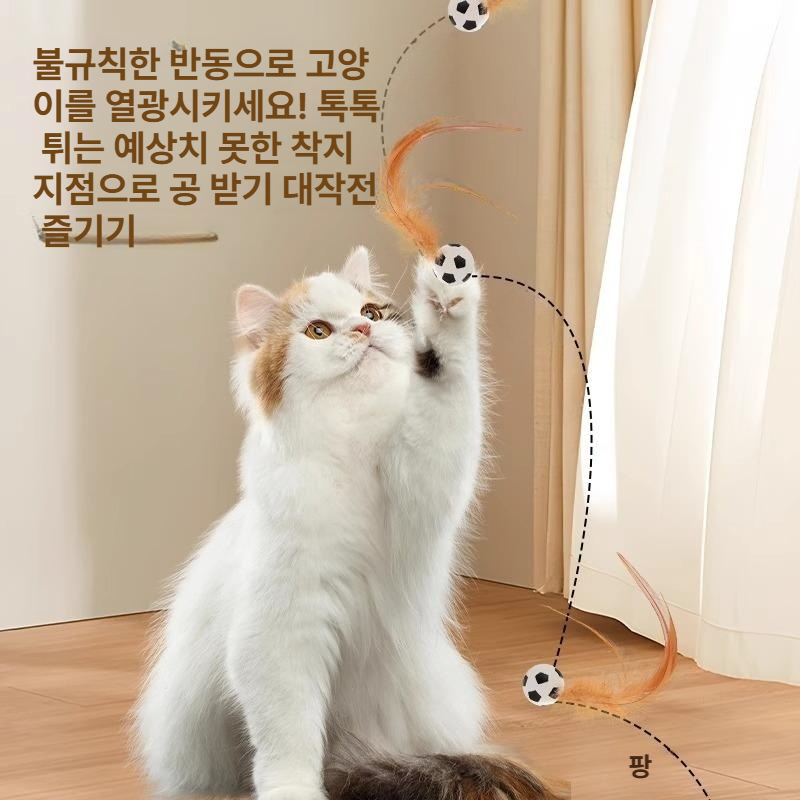고양이 탄력공 깃털 장난감 운동 놀이 탄성 캣타워 터널 놀이용 농구+축구+야구공 - 상세 이미지 3