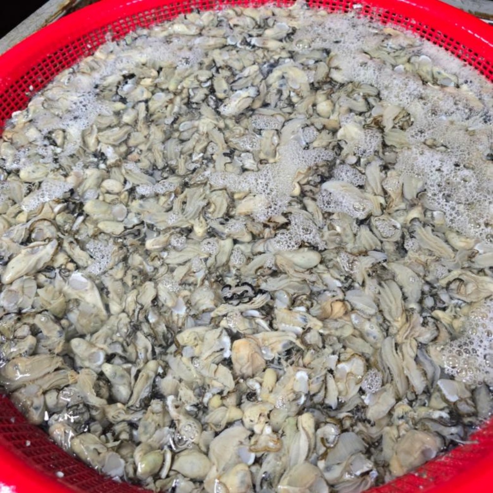 생굴 통영굴 통영 깐 굴 1kg 택배 봉지 세척 남해안 산지직송 김장 - 상품 이미지