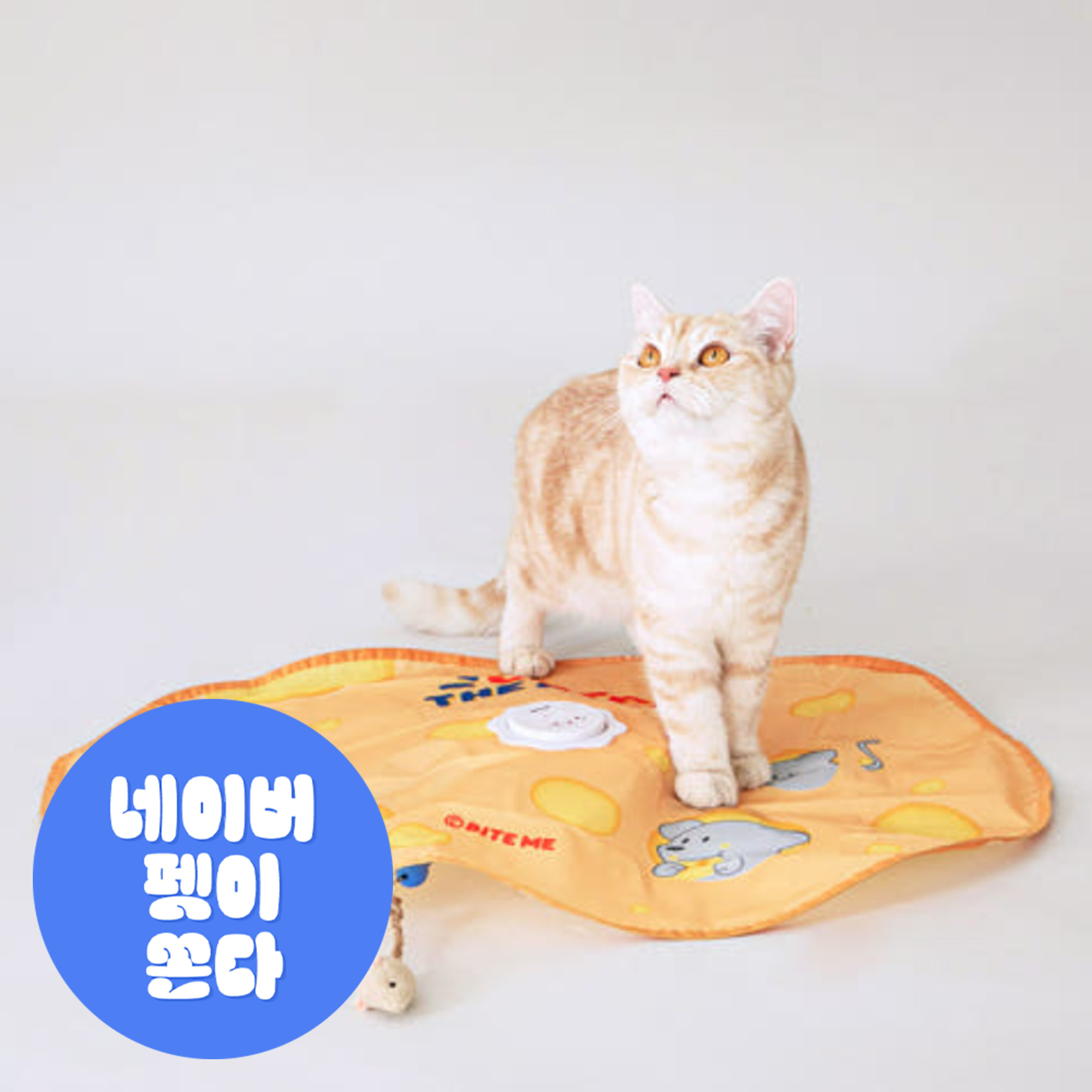 고양이 자동 장난감 타이머사냥놀이 캐치더마우스 솔직 후기 | 실제 사용자 리뷰 총정리 - 대표 이미지