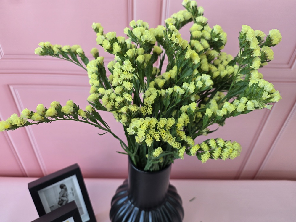 유스풀몰 생화 노랑계열스타티스 스타치스 꽃배달싼곳 꽃 훼농가돕기 솔직 후기 | 실사용자 리뷰 분석 - 대표 이미지