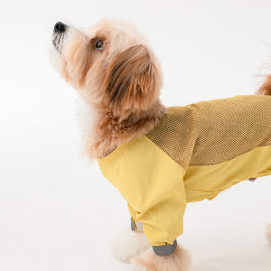 바잇미 강아지 우비 여름 비옷 올인원 이지피지 언더커버 레인코트 S~5X... 솔직 후기 | 실제 사용자 리뷰 총정리 - 상품 이미지 2