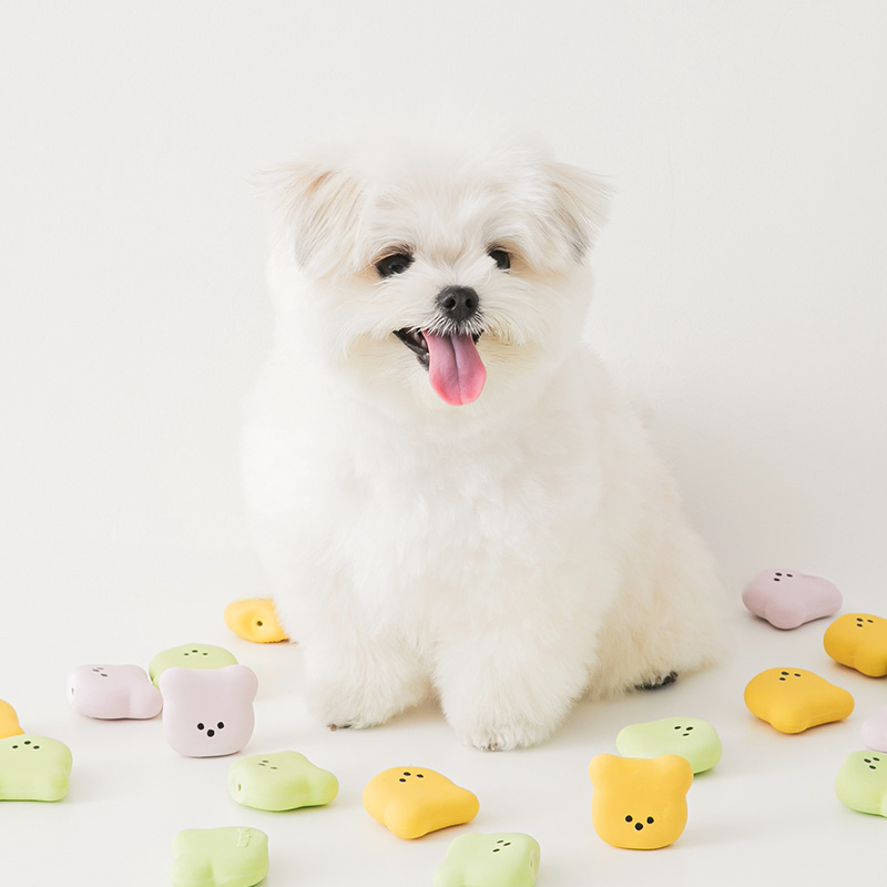 강아지 라텍스 장난감 삑삑이 젤리곰 3개입 반려견 애견 곰돌이 3p 빅 페이스
