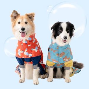 바잇미 강아지 우비 여름 비옷 판초 올인원 세트 이지피지 레인코트 S~5... 솔직 후기 | 실제 사용자 리뷰 총정리 - 상품 이미지 2