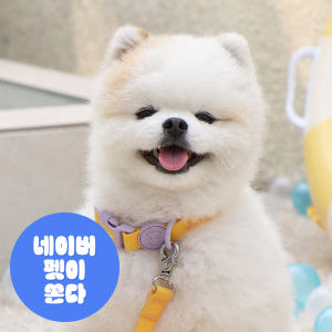 강아지 리드줄 핸즈프리 리쉬 100%방수 워터프루프 롱리쉬 2.5m 길이... 솔직 후기 | 실제 사용자 리뷰 총정리 - 상품 이미지 1