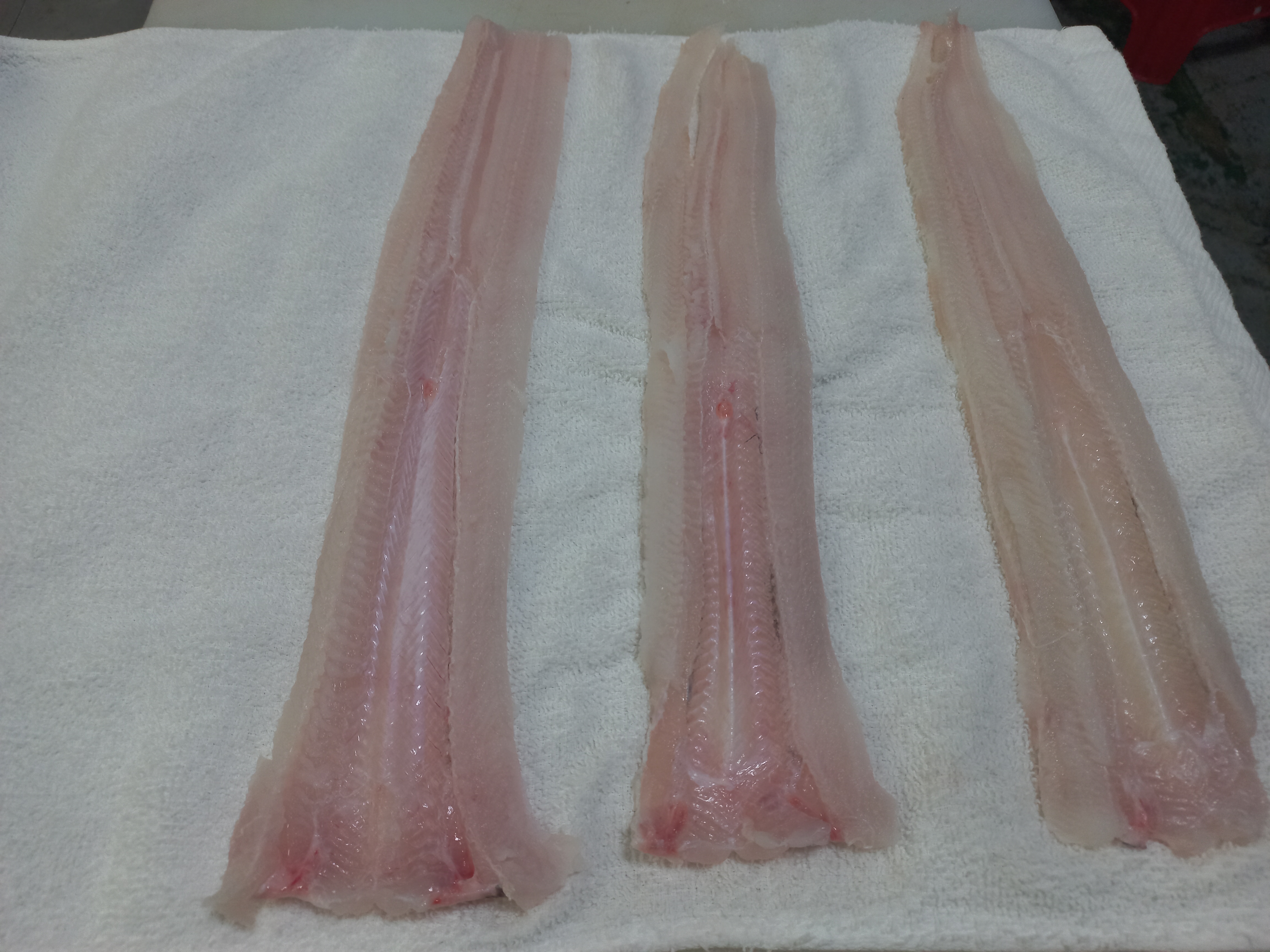 칠암 기장식 아나고회 순살 세꼬시 350g 새꼬시 장어 붕장어회 - 상세 이미지 3